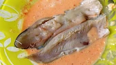 Pstruhové řízky