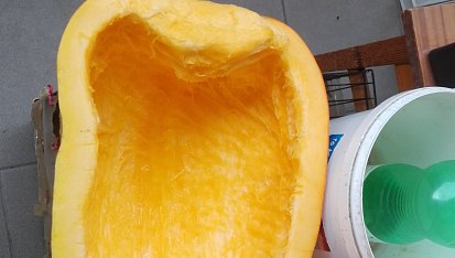 Dýňová marmeláda s hroznovým vínem a meruňkami