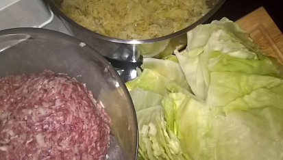Holubce od Lvova