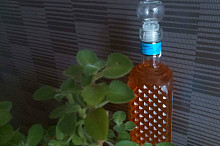 Sirup z rýmovníku a citronů