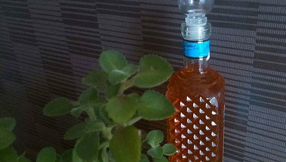 Sirup z rýmovníku, Sirup z rýmovníku a citronů