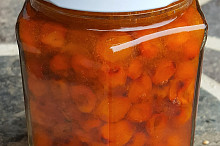 Rakytník