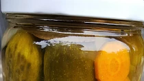 Sterilované okurky