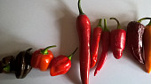 Chilli omáčka (cvrndová chilli omáčka)