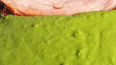 Hráškové pyré (Hráškové pyré)