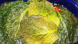 Kapustové "lasagne"
