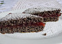 Makový koláč s višňovým krémem
