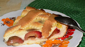 Mřížkový švestkový koláč
