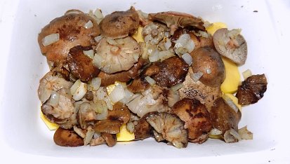 Václavky s fenyklem a bramborami