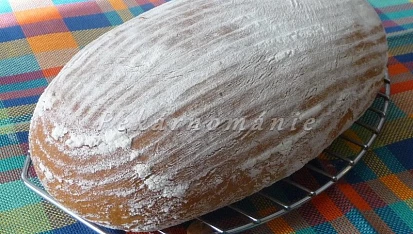 Chleba ze Ždánského lesa