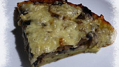 Mamracháč – čtvero ročních období