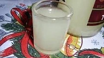 Zázvorový macerát - "sirup" pro dospělé