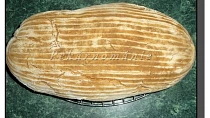 Vesnický chléb