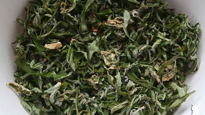Bylinný čaj všeholék (bylinná směs), Bylinný čaj všeholék