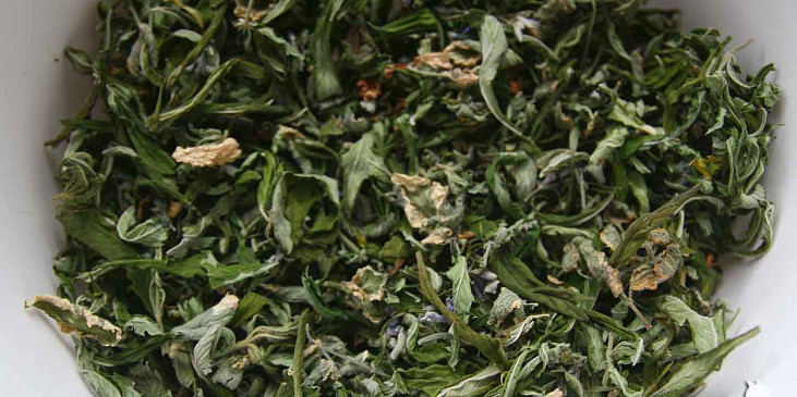 Bylinný čaj všeholék (bylinná směs) (Bylinný čaj všeholék)