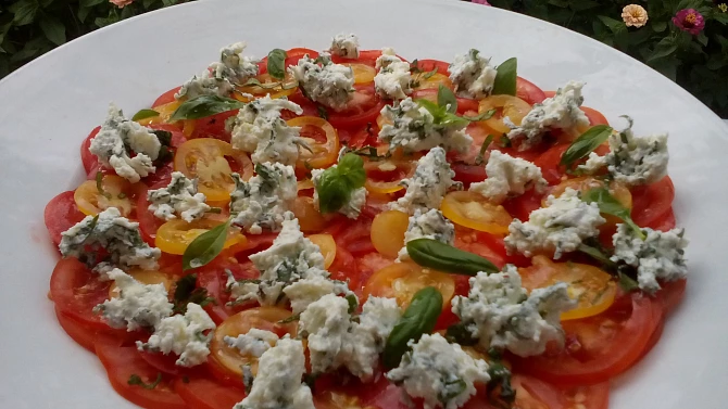 Carpaccio z rajčat