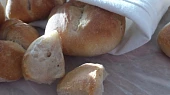 Jogurtové žemličky, bulky