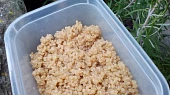 Quinoa - jako příloha nebo zavářka do polévek