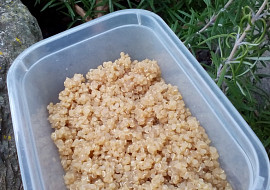 Quinoa - jako příloha nebo zavářka do polévek