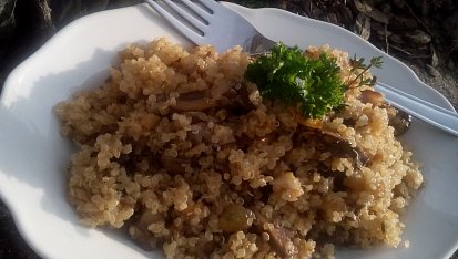 Quinoa s houbami à la houbový kuba