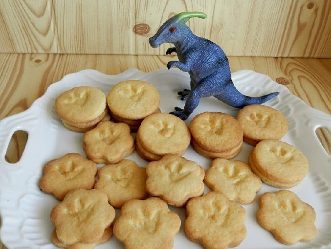 Dinosauří sušenky pro vnuky, Dinosauří sušenky pro vnuky