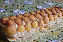 vyklopeno