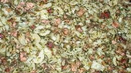 Těstoviny se špenátem a uzeným masem