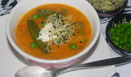 Zeleninová kari polévka