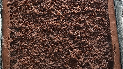 Krtkův dortík na plechu