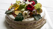 Vegan Pavlova s kokosovou šlehačkou