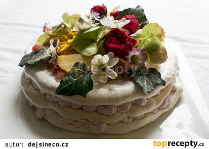 Vegan Pavlova s kokosovou šlehačkou