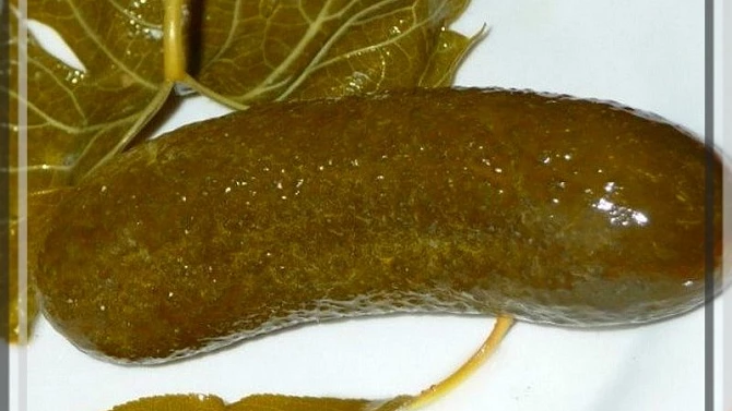 "Zavařené" kvašáky