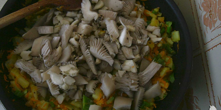 Hutná zeleninová polévka s hlívou a majoránkou (Polévka s hlívou - příprava)