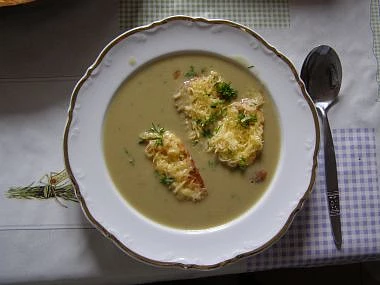 Moje cibulačka