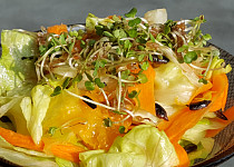 Salát s naklíčenou rukolou a slunečnicovými semínky