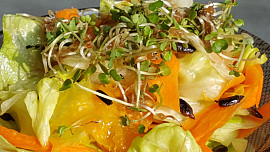 Salát s naklíčenou rukolou a slunečnicovými semínky