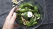 Bazalkové pesto (vegan)