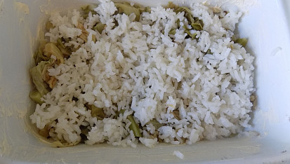 Kapusta s rýží a tofu