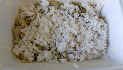 Kapusta s rýží a tofu