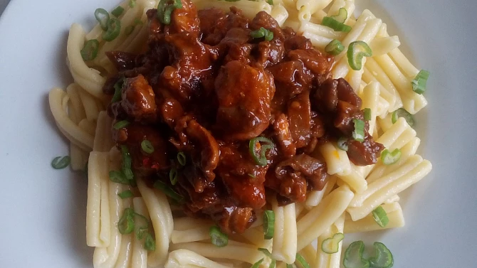 Kuřecí / králičí ragú s hlívou