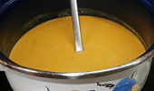 Mrkvová polévka (byl toho 3 l hrnec)