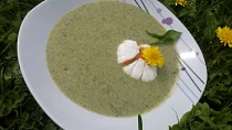 Pampelišková polévka podle Lidušky