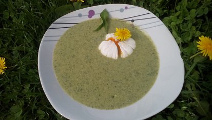 Pampelišková polévka podle Lidušky