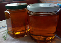 Pampeliškový med do čaje i na chléb