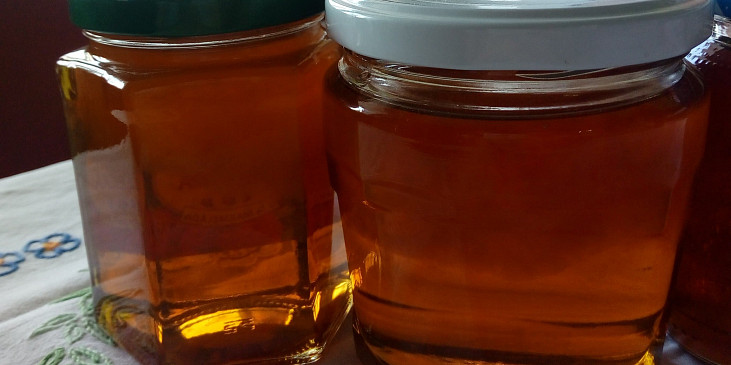 Pampeliškový med do čaje i na chléb (Letos byly pampelišky opravdu plné pylu a tak se…)