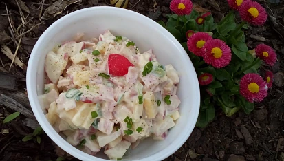 Ředkvičkový salát (nejen) se šunkou
