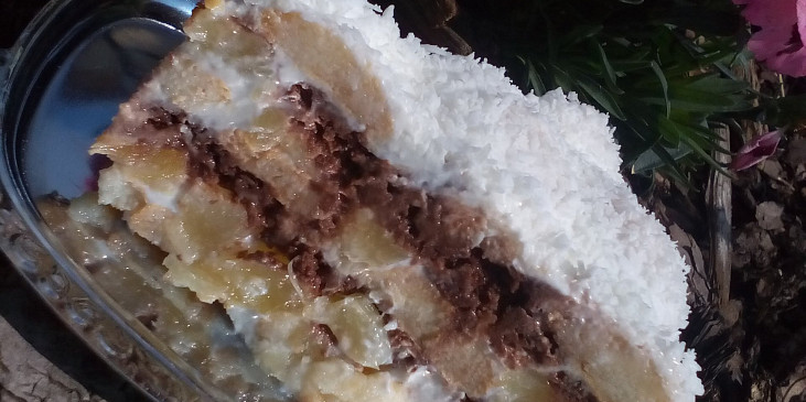 Koka-kokosový nepečený dort