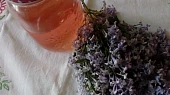 Šeříkový sirup ze Samoty u lesa