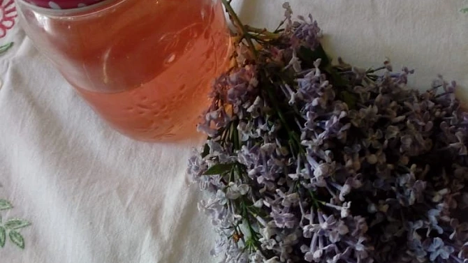 Šeříkový sirup ze Samoty u lesa