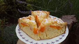 Meruňkový koláč z remosky